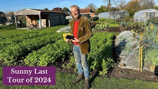 November Garden Full of Vegetables, winter soon and no dig needed