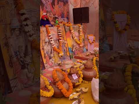 Kanha Ji Birthday Celebration #Vlogging #Vlogs #minivlog #anchor #acting