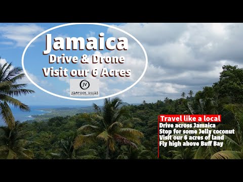 Stunning Portland,Jamaica: Epic Drive and Drone Views