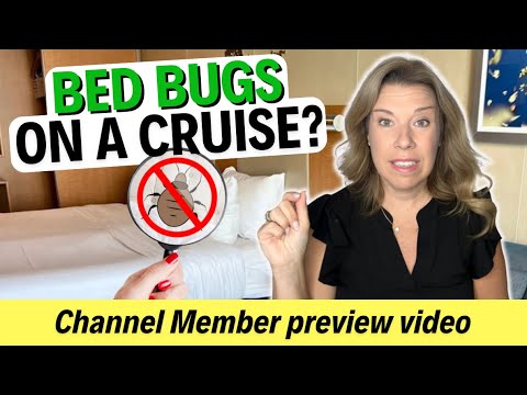 Bed Bugs on a Cruise? Behind the scenes Q & A (Channel Member preview video)