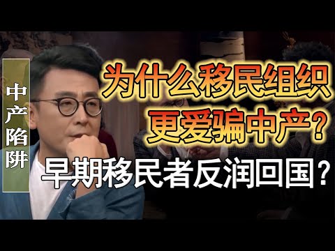 為什麼移民組織更喜歡騙中產階級？早期移民者開始反潤回國了？#竇文濤 #圓桌派 #人生感悟