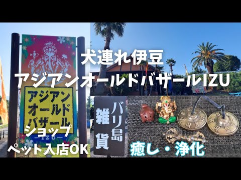 【犬連れ♡伊豆高原】アジアンオールドバザールIZUへ🌴ペット入店OK/バリ島雑貨や癒し・浄化グッズ購入/異国に来た気分でショッピング🎶