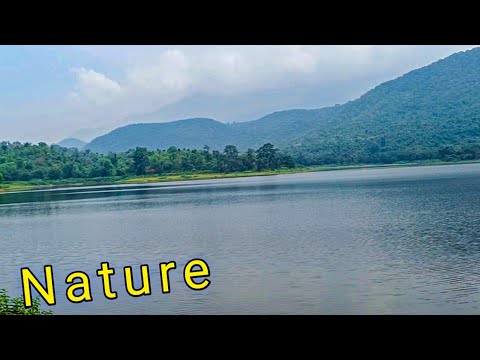 Beautiful Nature Scene | The FlyFight