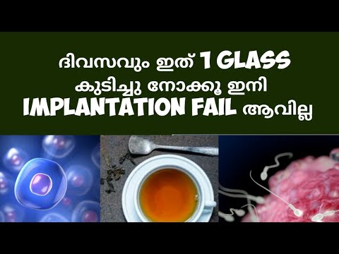 Drinks to Support Implantation Deechus world Malayalam || Raspberry tea