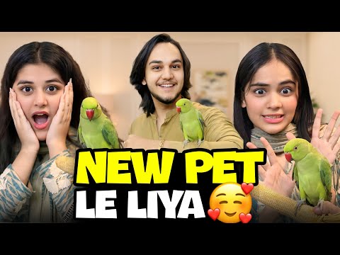 NEW PET NE PAPA KO KAAT LIA // MITHU MITHU