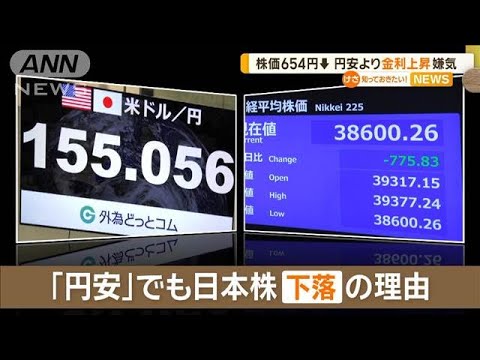 円安進行し株も大幅下落　トランプ氏に指摘される懸念材料　欧州株が低迷【知っておきたい！】【グッド！モーニング】(2024年11月14日)