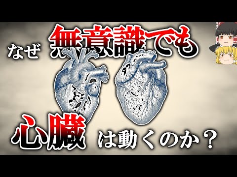 【疑問】なぜ人は無意識でも生き続けられるのか【ゆっくり解説・雑学】