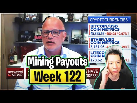 Weekly Mining Payouts 8/15/21 | Week 122