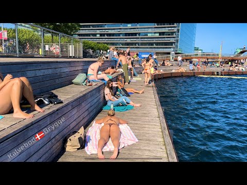 Kalvebod Brygge🇩🇰Harbor Beach | Copenhagen Denmark | Beach Walk | Bikini Beach | August 2024