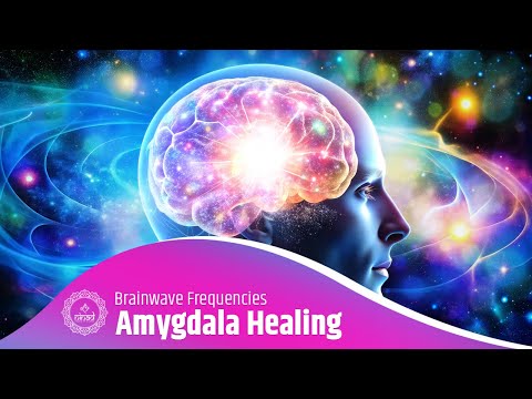 Amygdala Healing Frequencies | Brainwave Frequencies for Amygdala Healing | Panic Attack Cure