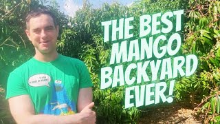 The  Best Mango Tree Backyard Ever!