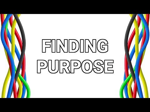 Differently Wired - Episode 73 - Finding Purpose