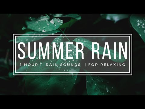 Rain Noises for Sleep No Thunder - 1 Hour Relaxing Deep Sleep Nature Sounds ASMR HD