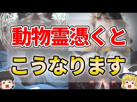 【ゆっくり解説】知らないうちに動物霊に取り憑かれた人の特徴７選