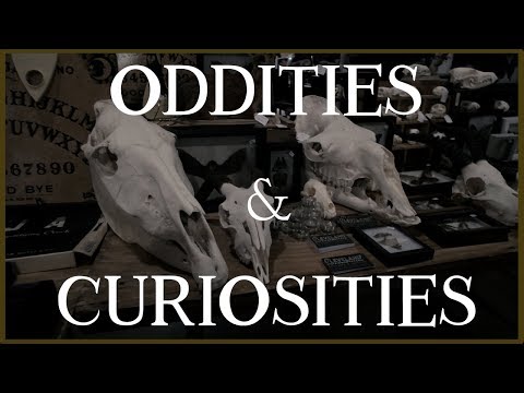 Oddities & Curiosities Expo | Columbus 2019