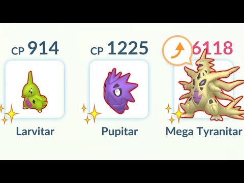 Shiny (Larvitar, Pupitar, Mega Tyranitar) Family in Pokemon GO.