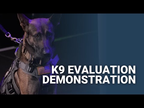 A K9 Evaluation Demonstration - IWS