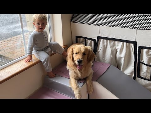 Adorable Baby Boy Plays With Golden Retriever And Malamute Puppy! (Cutest Ever!!)