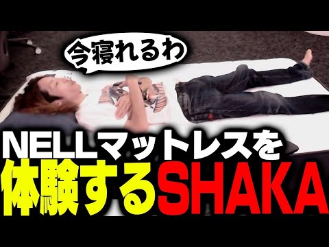 睡眠時間よりも配信時間が長いSHAKAが「睡眠」について語る案件配信【NELLマットレス】