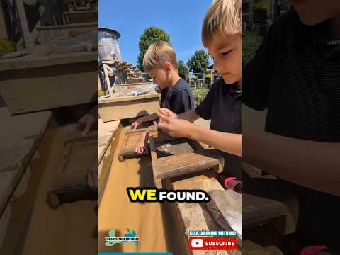 🤩Treasure hunting in the sluice! #gems #mineralmining #panning #treasure #rock