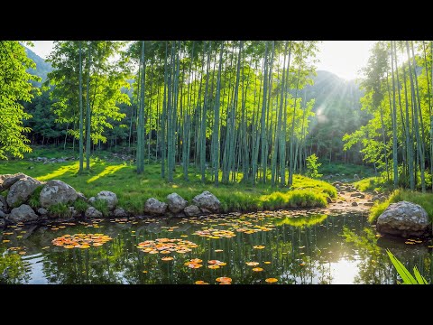 Beautiful Relaxing Music For Stress Relief - Relaxing Music For Spiritual Healing & Meditation #3