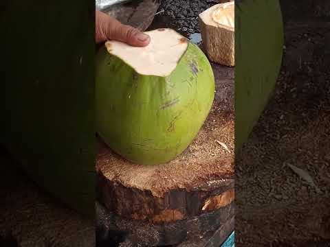 best way to cut coconut Asmr #satisfying #coconut #streetfood #youtubeshorts @GatchieJr33