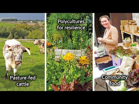 Pasture-fed Cattle | Polycultures for a Climate Resilient Garden | Community Food in a Pandemic