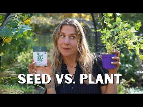 When Should I Buy SEEDS vs Starter PLANTS?