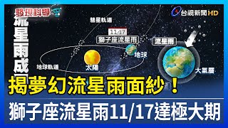 揭夢幻流星雨面紗！ 獅子座流星雨11/17達極大期【發現科學】