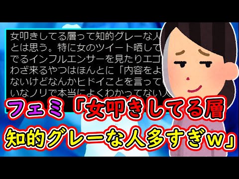 【ツイフェミ】フェミ「女叩きしてる層って知的グレーな人多すぎだよね」←まんま男叩きしてる層やんw