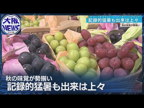 【猛暑でも上出来！】大阪に秋の味覚が届きました～リンゴ・ナシ・ブドウ