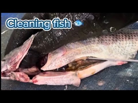 🟢 ASMR  cleaning & cutting fish