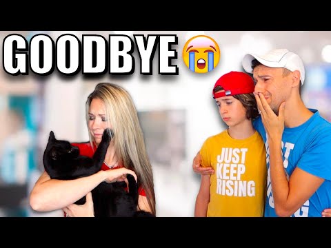 We WERE NOT expecting him to LEAVE 😭 Sad goodbye