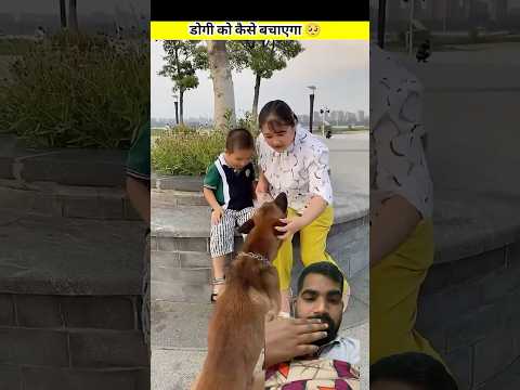 #shorts #viralvideo #cartooztv #doglover #humanity #story