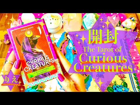 🦎開封動画🦎The Tarot of Curious Creatures🦎💕【ときめきアドバイス】