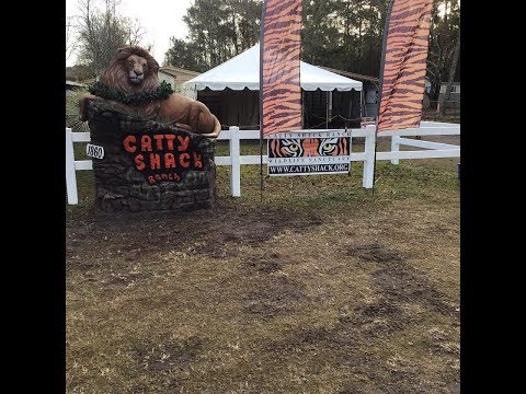 Catty Shack Ranch Wildlife Sanctuary in Jacksonville, FL