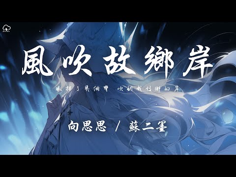 向思思 / 蘇二墨 - 風吹故鄉岸「風拐了幾個彎 吹到我故鄉的岸」【動態歌詞/PinyinLyrics】♪