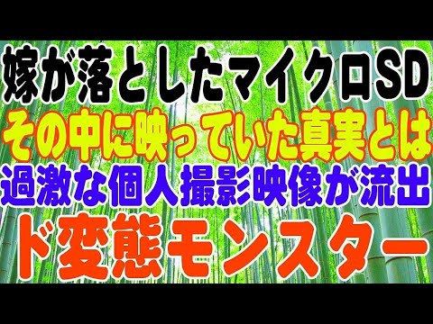 【スカッとする話】嫁が落としたマイクロSD、その中に映っていた真実とは