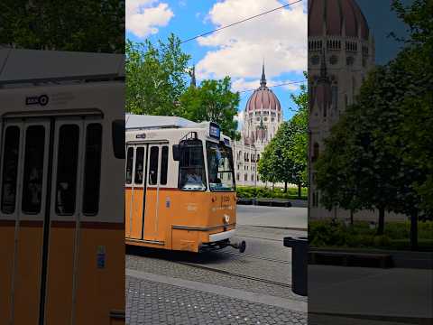 Downtown Budapest, Hungary 🇭🇺 #shorts #parliament #tram