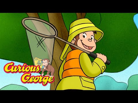 Who Will Catch the Fish? 🐵 Curious George 🐵 Kids Cartoon 🐵 Kids Movies