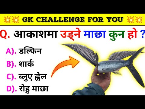 Gk Questions And Answers in Nepali।। Gk Questions।। Part 517।। Current Gk Nepal