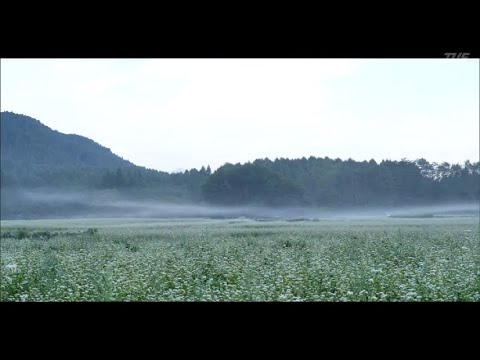 【映像】湖南町のそば街道　福島・郡山市