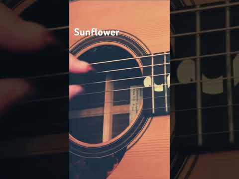 Sunflower / Orangestar feat.夏背 弾き語り