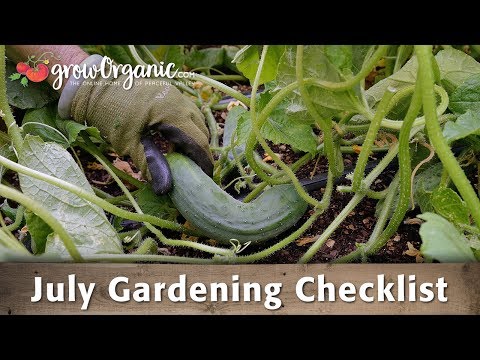 July Gardening Checklist: 15 Tips to Keep Your Organic Garden Going in the Dead of Summer