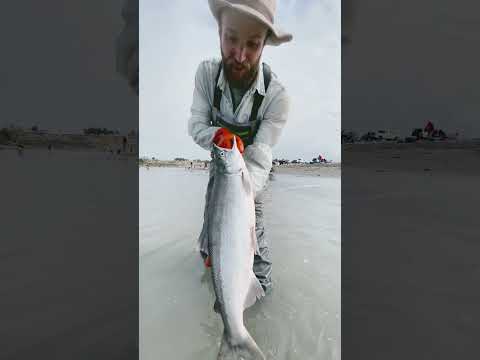 A YEARS worth of food in 3 HOURS! #fishing #harvest #salmon #cabinlife #alaska #simpleliving