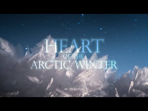 HEART OF THE ARCTIC WINTER - 4K Norway time-lapse