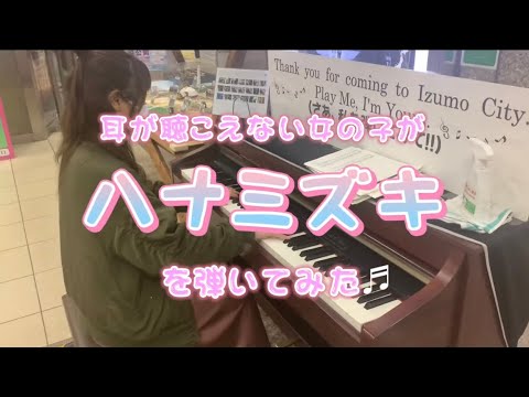 耳が聞こえないけどハナミズキ弾いてみた【難聴うさぎ】