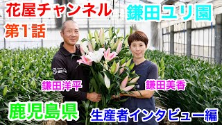 【花屋チャンネル】生産者インタビュー‼️鹿児島県の百合農家‼️鎌田洋平さんの開業話#鎌田ユリ園#百合農家#オリエンタル#百合#鹿児島#鎌田洋平#生産者#ユリ