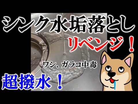 【ロング版】シンクの水垢落とし！ガラコリベンジ！今度こそ超撥水！