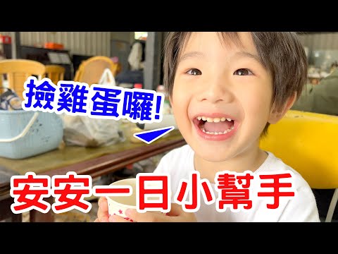 安安變身一日小農！採番茄、撿雞蛋  小農初體驗大公開！ Ean TV